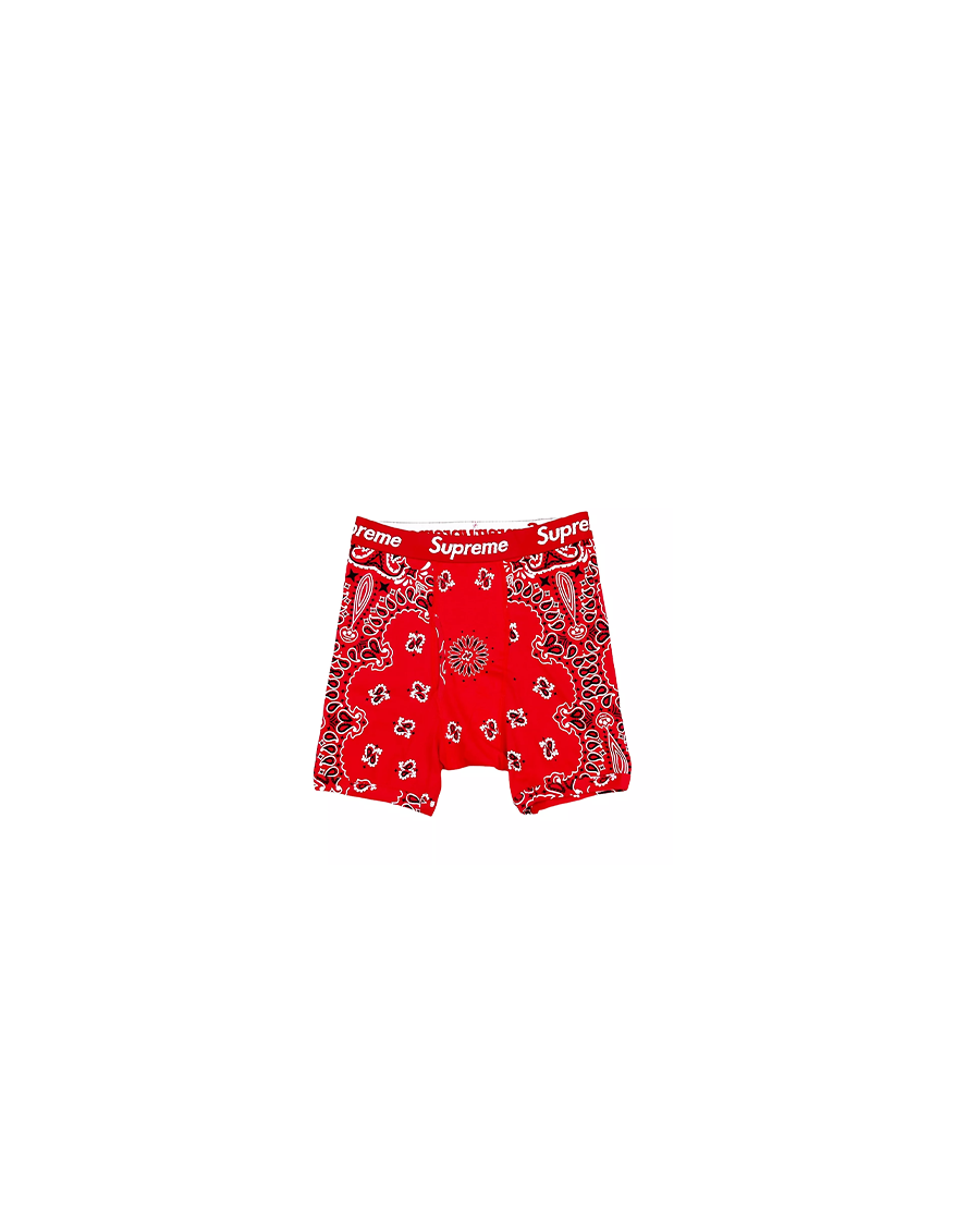 Supreme x Hanes Bandana Boxer Briefs